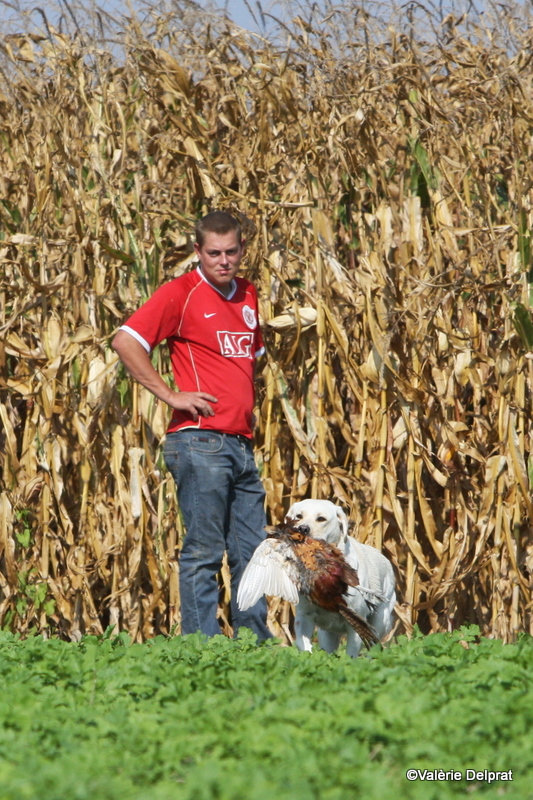 Field Erstein 09 (180).JPG